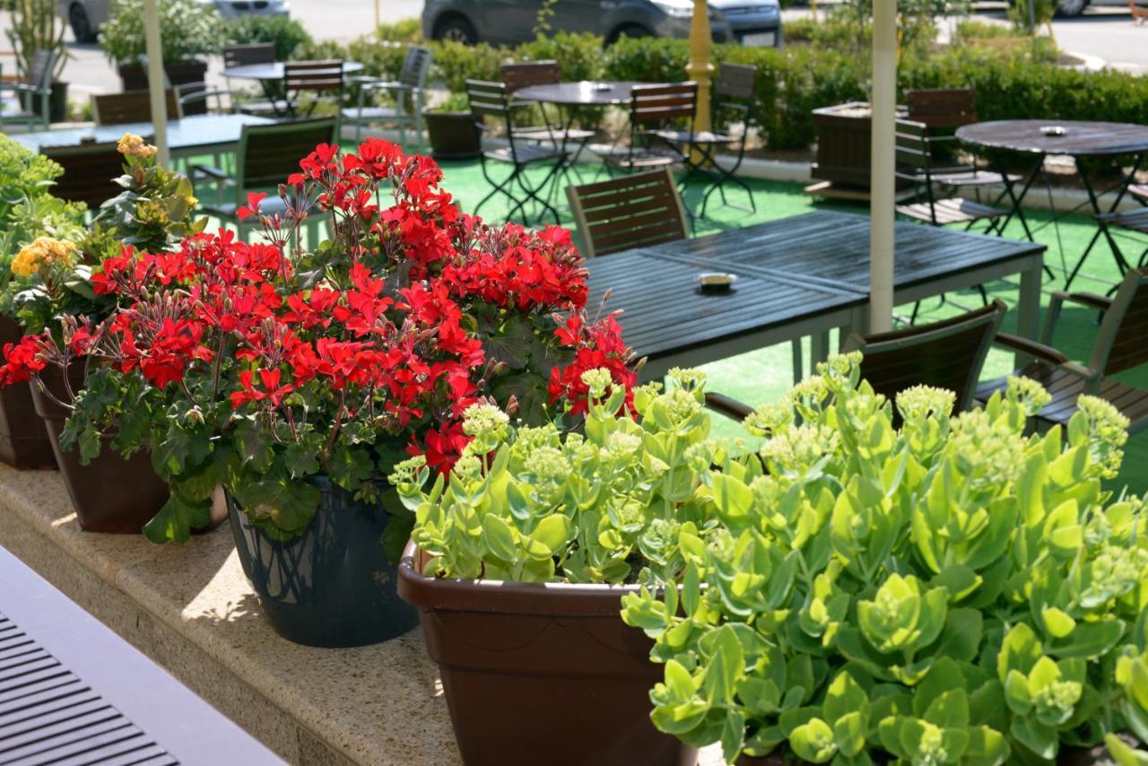 Hotel Condor Mamaia Dış mekan fotoğraf